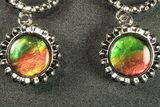 Flashy Ammolite (Fossil Ammonite Shell) Earrings with Sterling Silver #271753-1